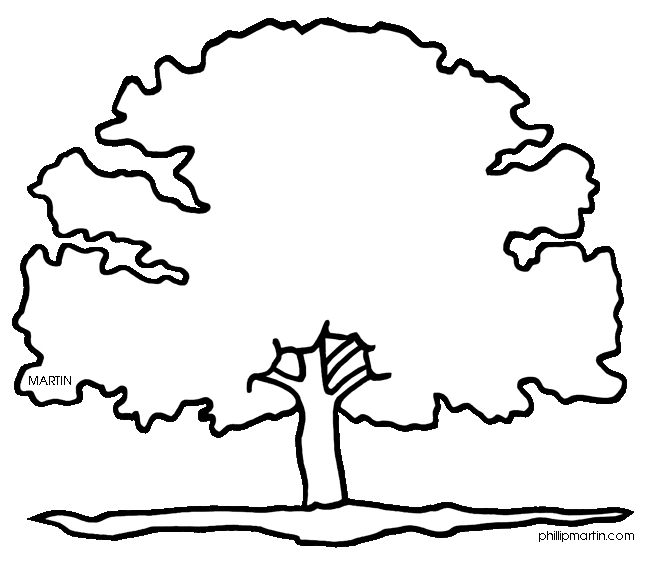 648x576 Free Oak Tree Clip Art