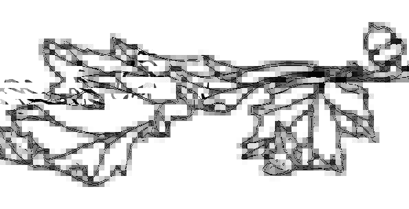 595x304 Red Oak Leaves, Leaves, Greeneries, Acorn, Tree, Sapling, Champion