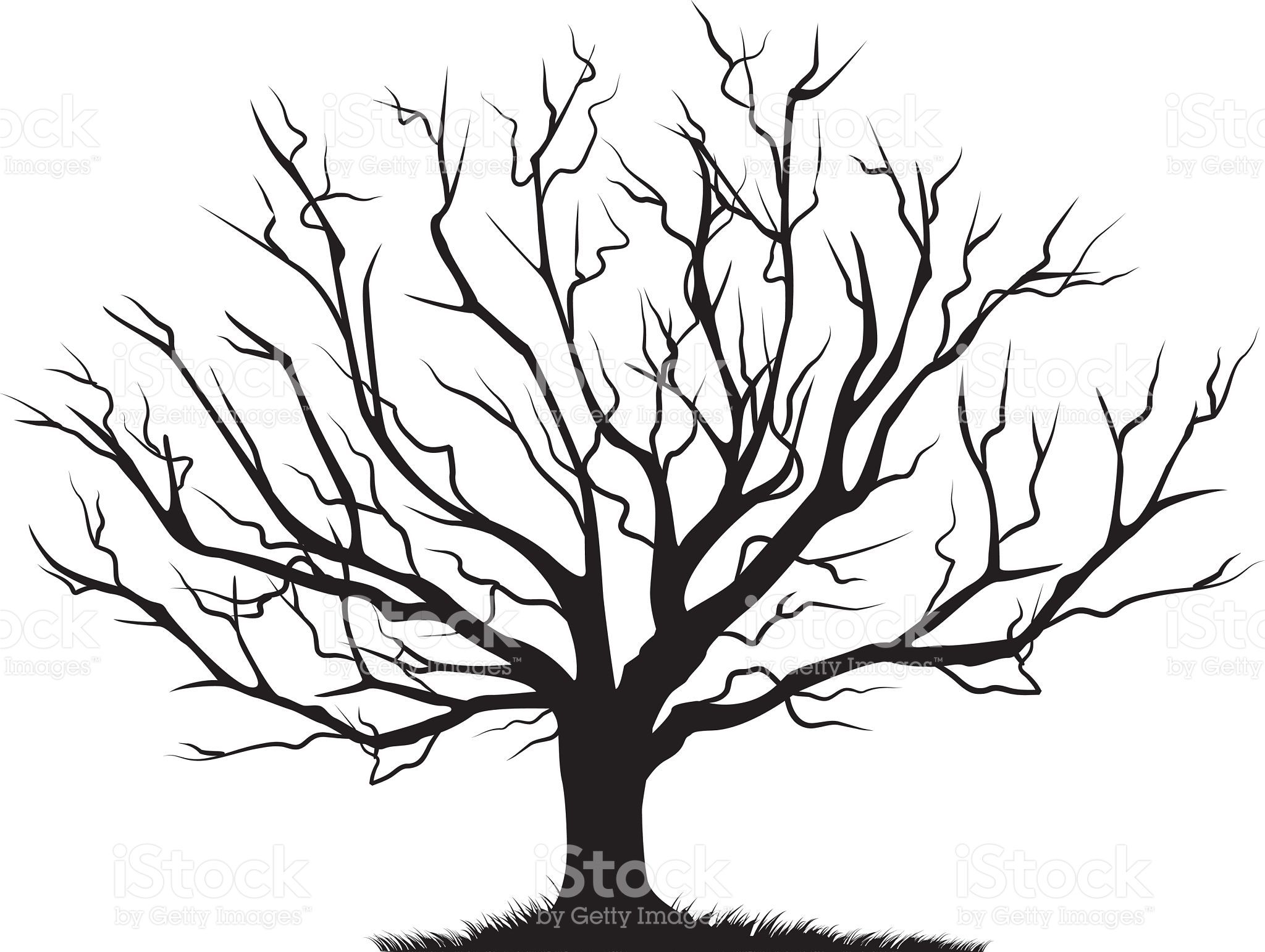 2048x1541 Collection Of Free Branches Clipart Tree Trunk Download On Ui Ex