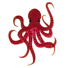 260x260 Download Octopus Drawing Clipart Octopus Drawing Clip Art