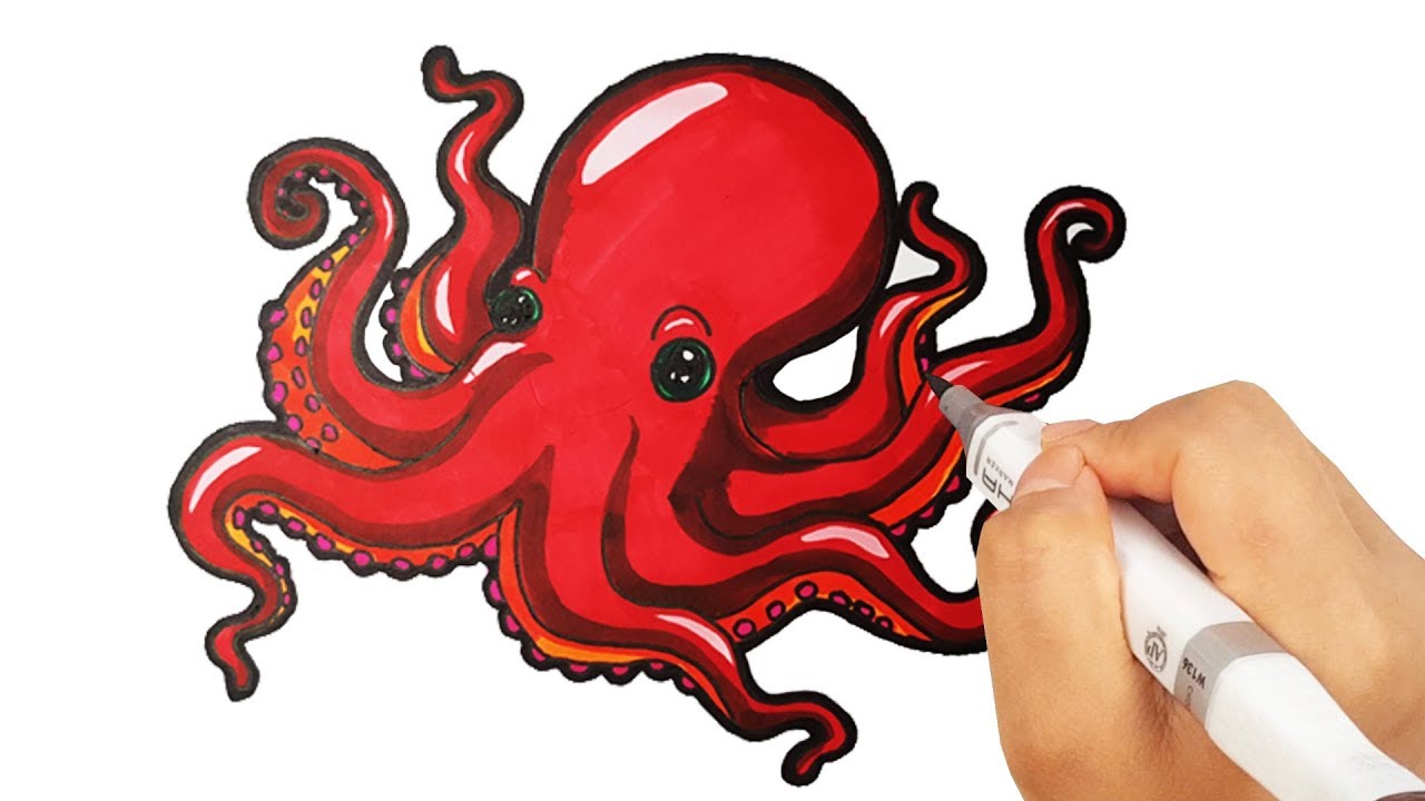 1280x720 Draw Octopus With A Colored Marker And Learn Sea Animals Names