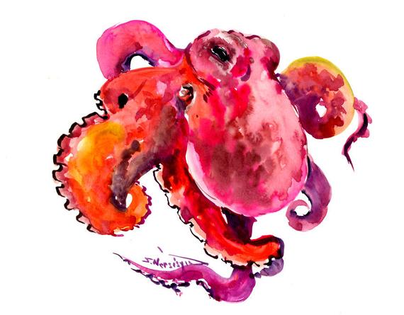 570x445 Octopus Artwork Pink Purple Red Octopus Artwork Original Etsy