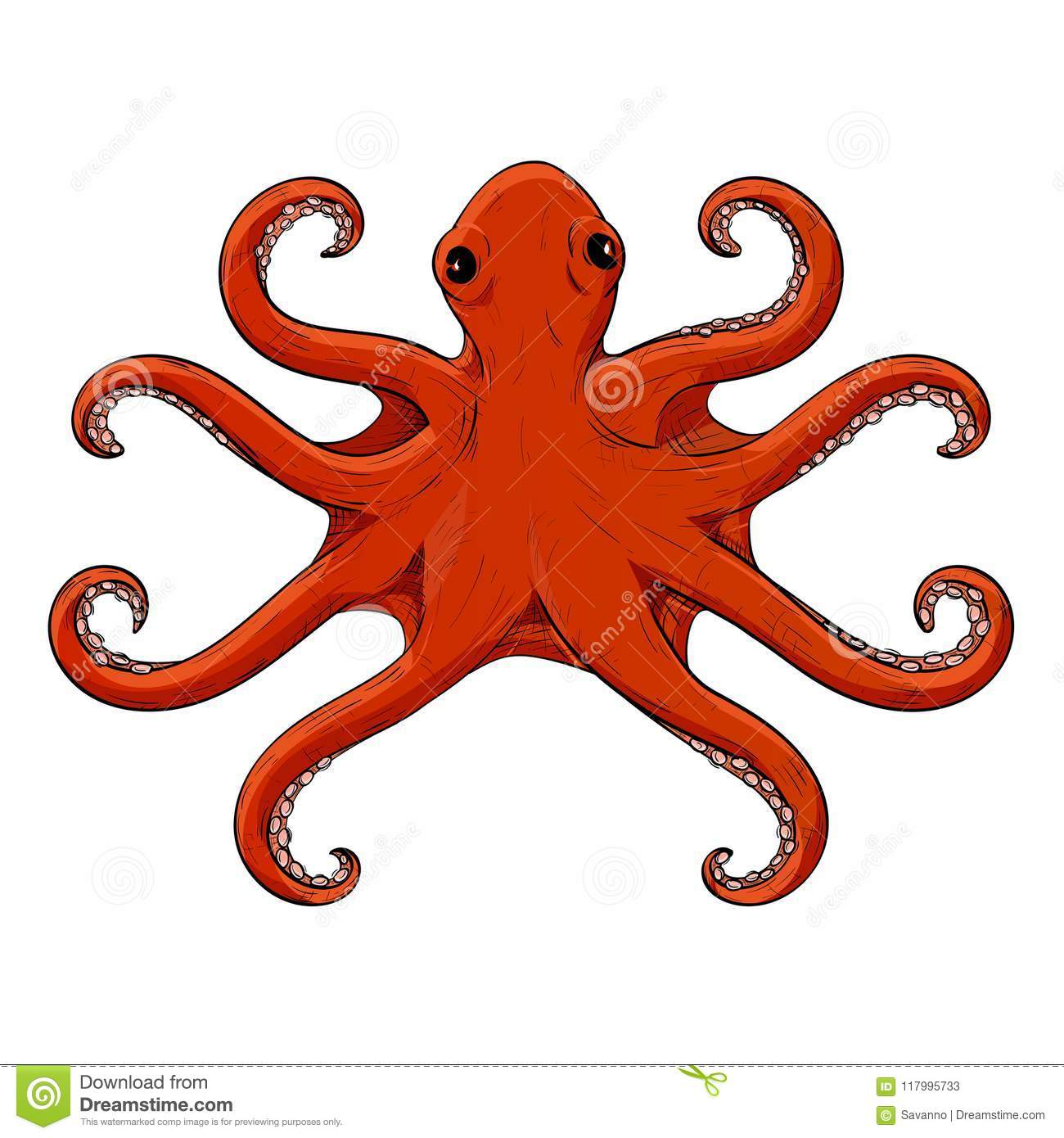 1300x1390 Real Octopus Tentacles Sketch Drawing And Octopus Red Hand Drawn