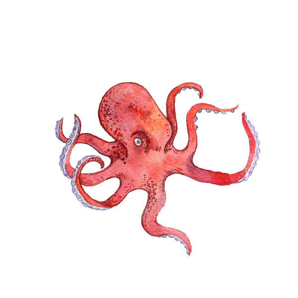 600x600 Watercolor Drawing Red Octopus Art Print