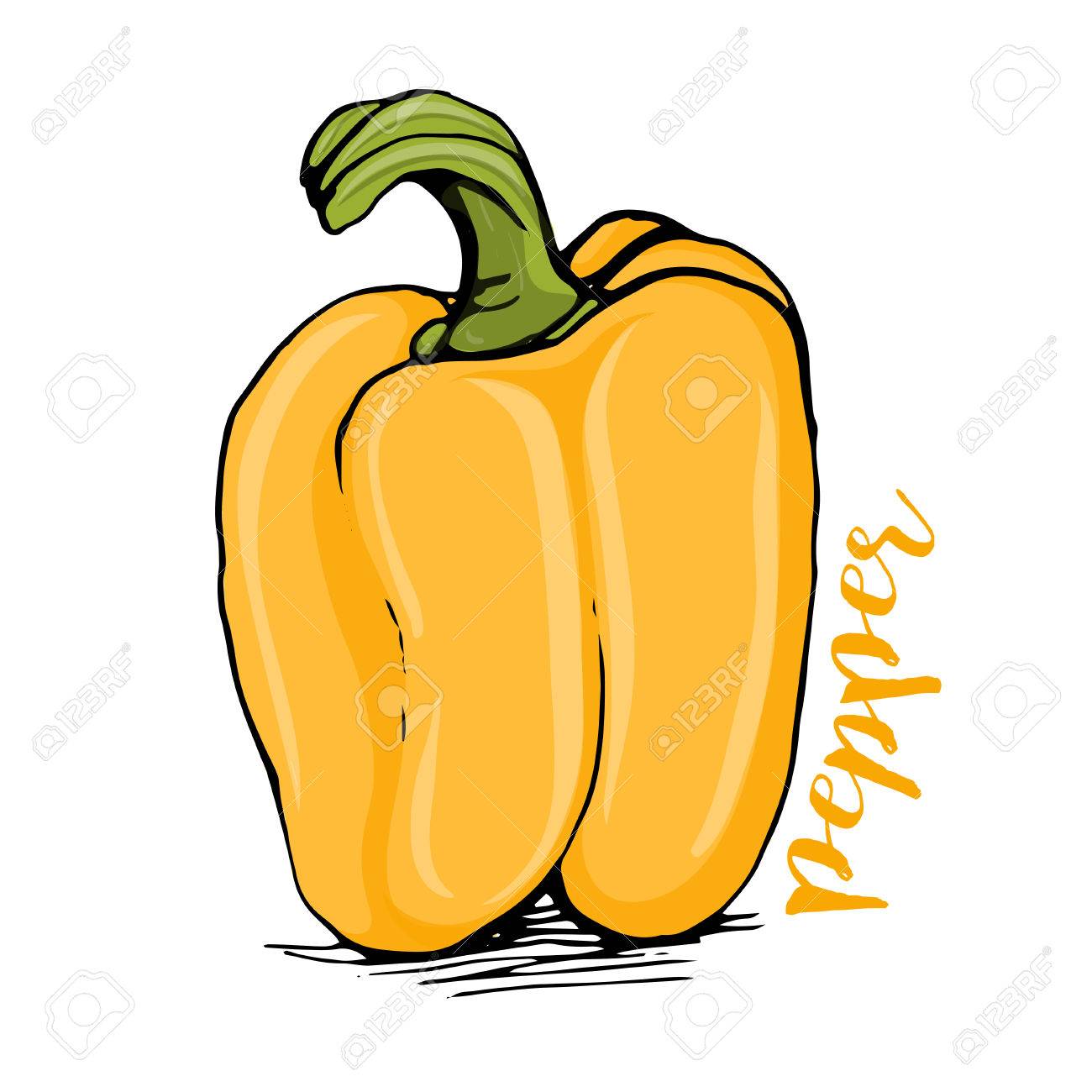1300x1300 Huge Collection Of 'bell Pepper Drawing' Download More Than