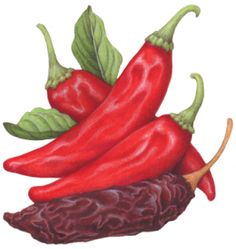 236x249 Best Peppers Images Vegetables, Bell Pepper, Paint