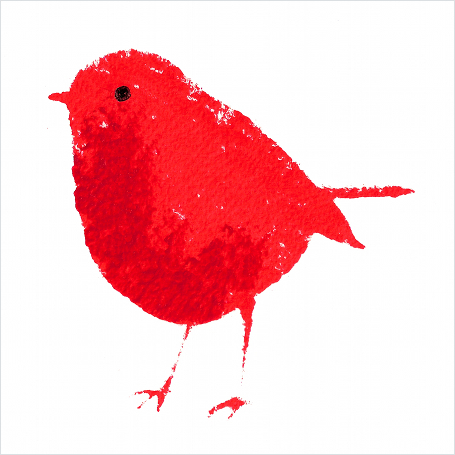 455x455 Red Robin Art Cards Ireland