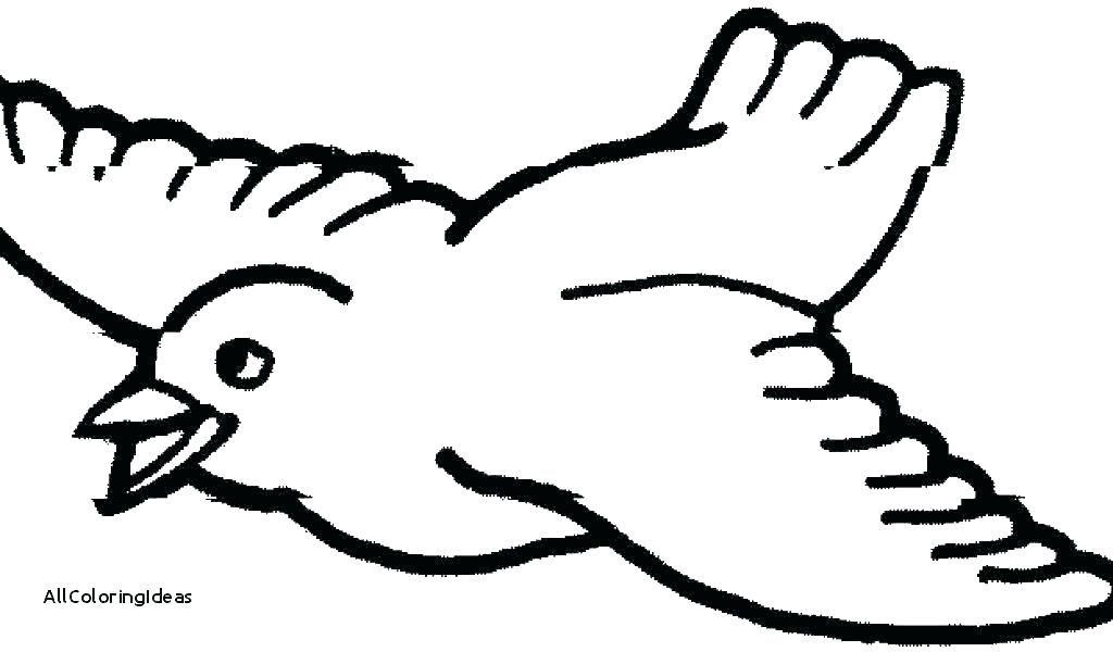 1024x600 Robin Bird Coloring Pages State