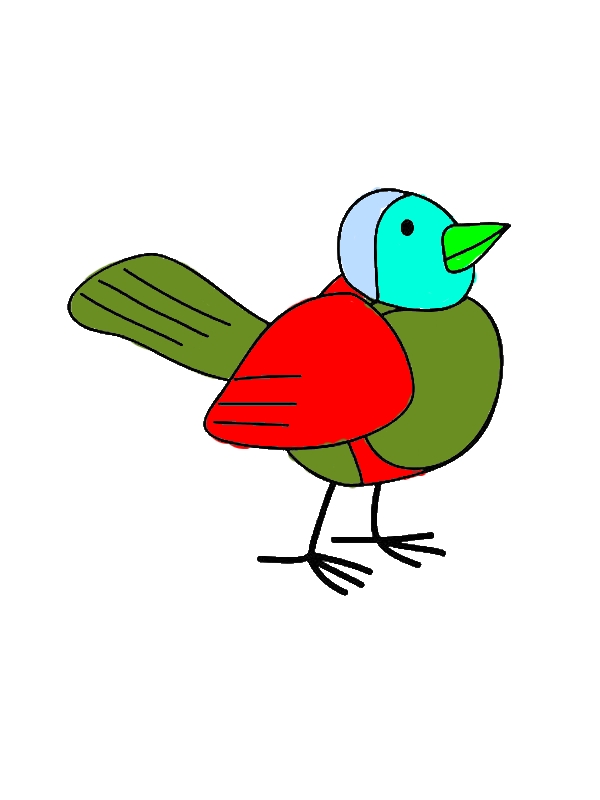 600x800 Robin Bird Drawing Coloring