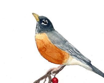340x270 Robin Red Breast Etsy