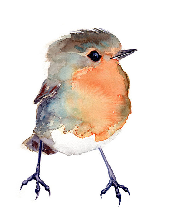 570x713 Baby Robin, Baby Shower Gift, Bird Painting Red Robin, Giclee