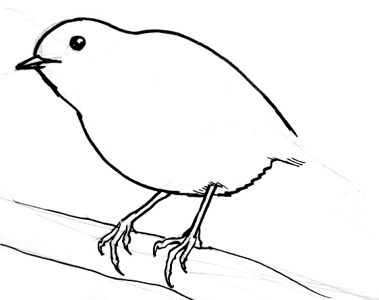 379x300 How To Draw A Robin