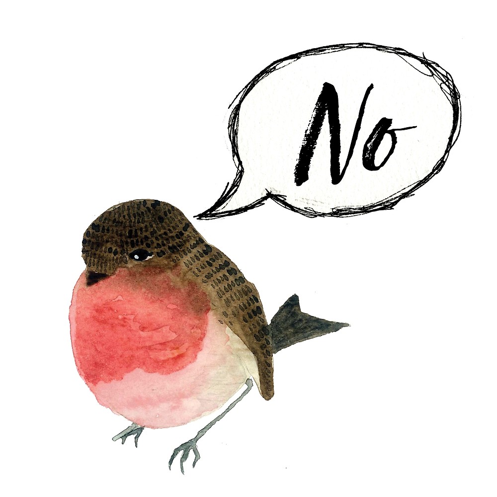 1000x1000 Little Red Robin Aka No!