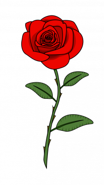 215x382 How To Draw Red Rose Step Drawing Ideas Red Rose Drawing
