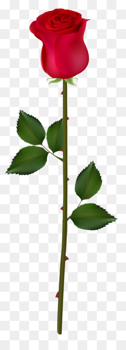 260x720 Red Flower Drawing Png