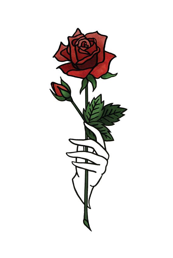 570x848 Rose Print In Blue Or Red Me Em Drawings, Rose
