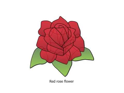 480x360 Drawing Red Rose Flower,drawing For Kids Step