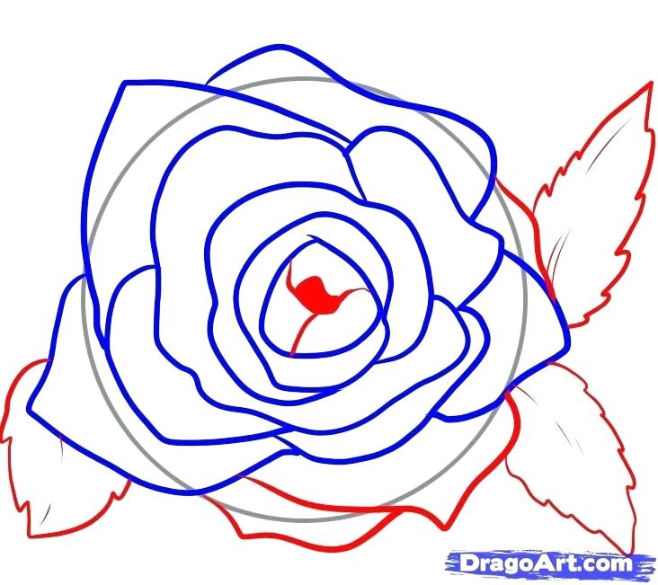 Red Rose Drawing Step Step | Free download on ClipArtMag