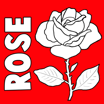 400x400 How To Draw Roses Step