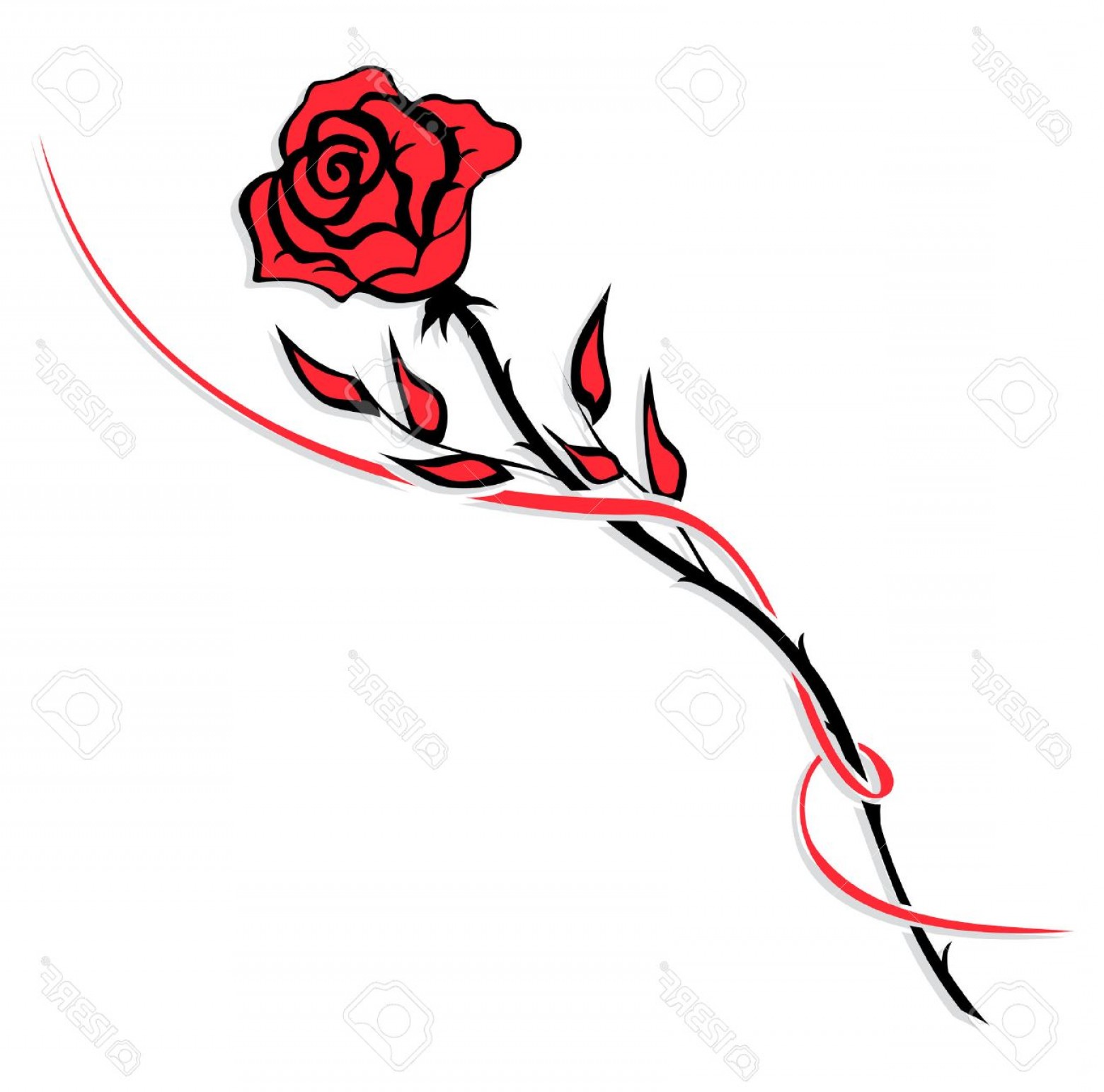 1560x1543 Photosimple Red Rose Drawing Isolated On White Lazttweet
