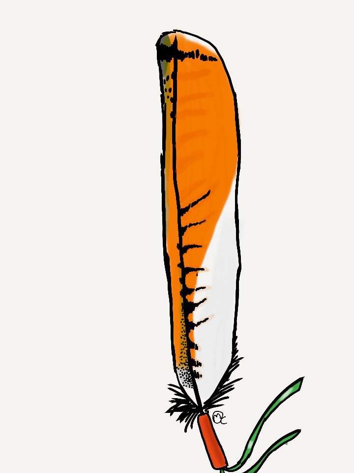 720x960 Feather Of A Red Tail Hawk Art Amino