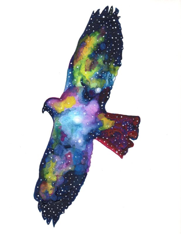 618x800 Uniquely Yew Red Tail Hawk