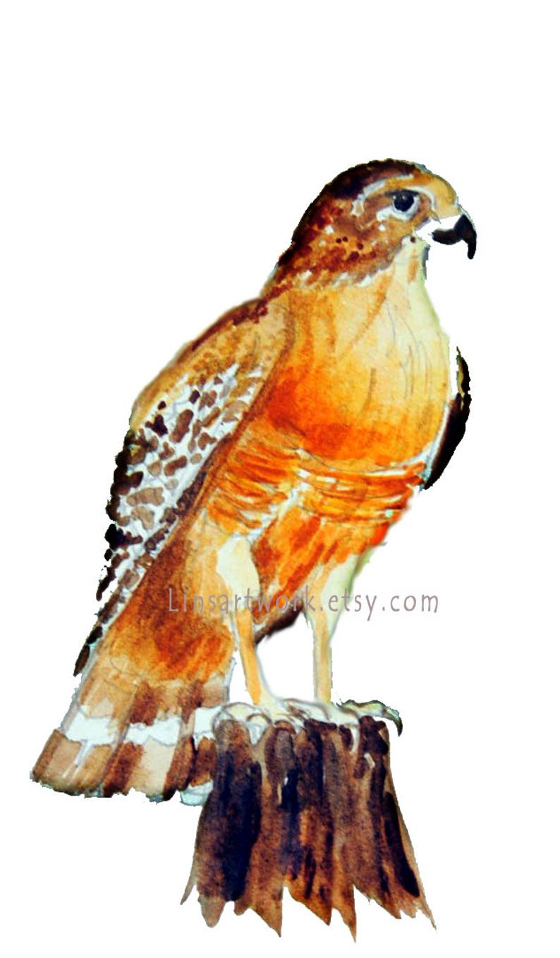 794x1357 Wild Bird Art Wild Bird Printshawk Artoriginal Etsy