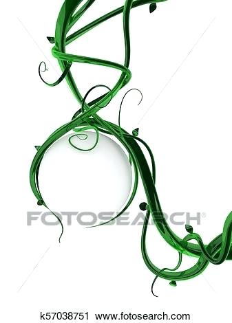 337x470 drawings of vines step vines drawings borders