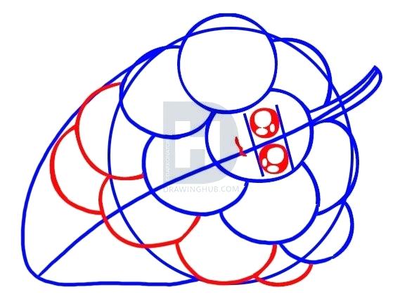 579x432 How To Draw A Grape