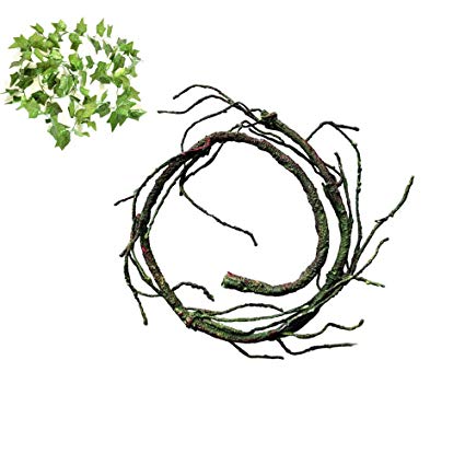 425x425 Tfwdmx Reptiles Jungle Vines Terrarium Habitat
