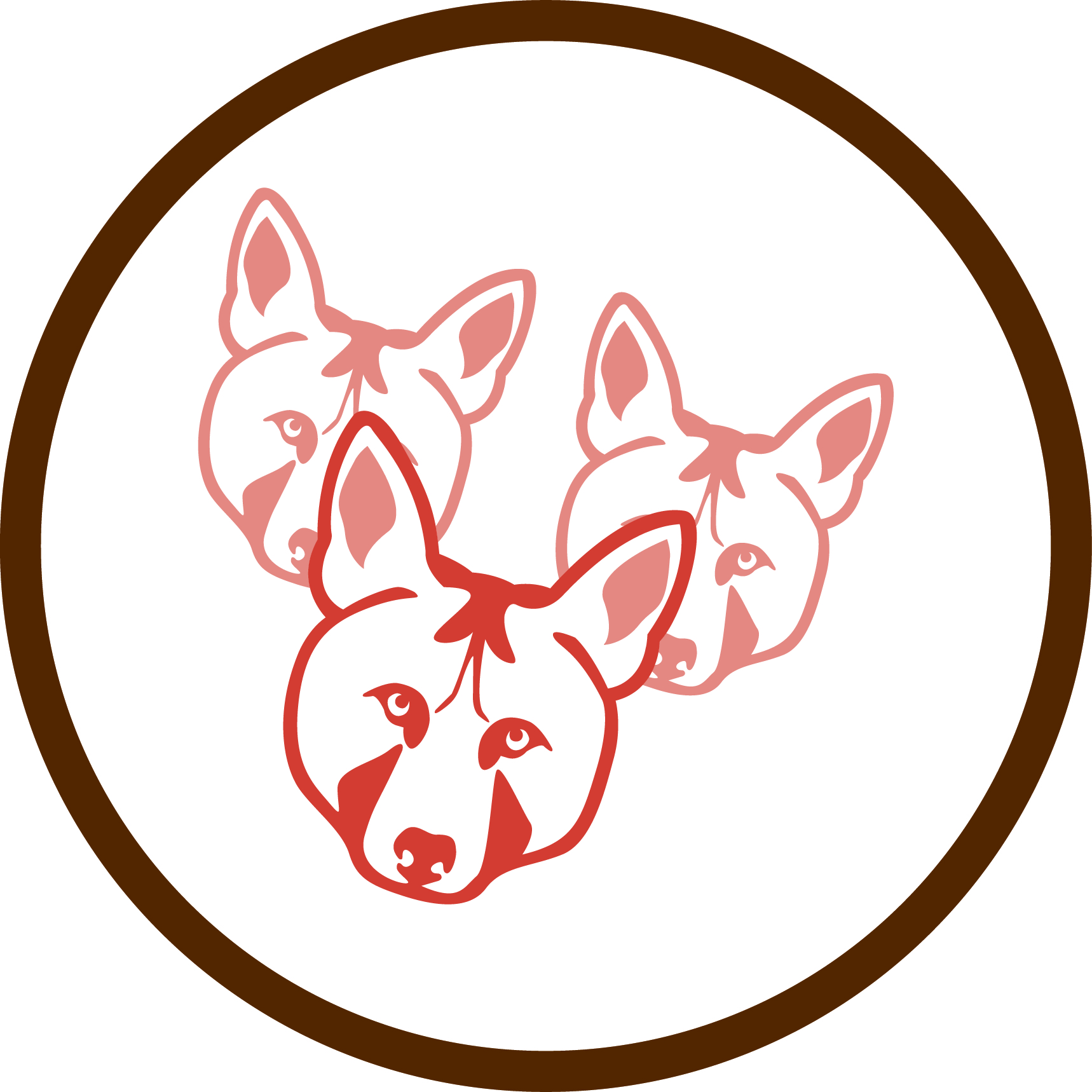 1718x1718 helper effects on pup lifetime fitness in the cooperatively