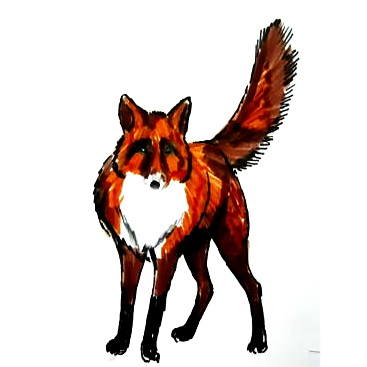 367x367 How To Draw A Fox