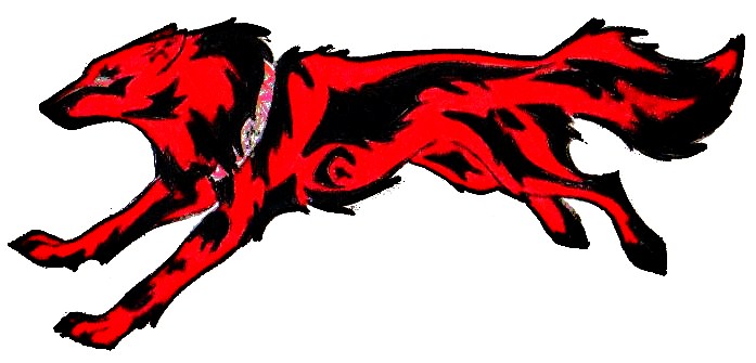 697x335 Black And Red Wolf