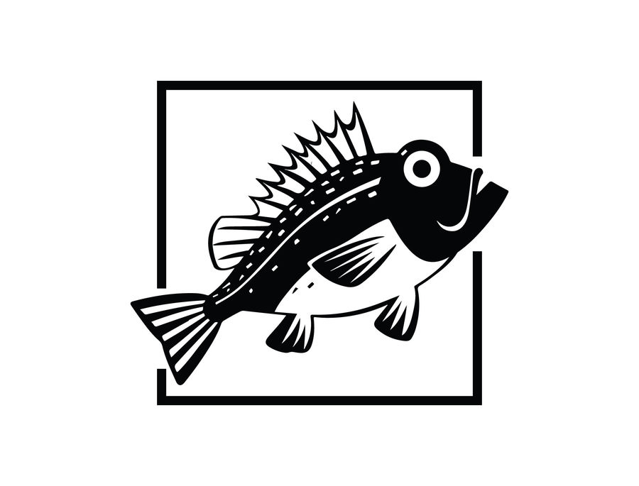 900x685 Redfish Drawing Sheepshead For Free Download