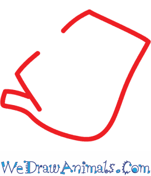 300x350 How To Draw A Redfish