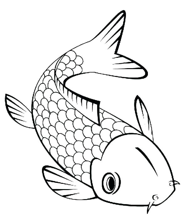 600x707 Redfish Drawing Tropical Fish For Free Download