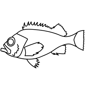 300x300 Learn How To Draw Animals Step