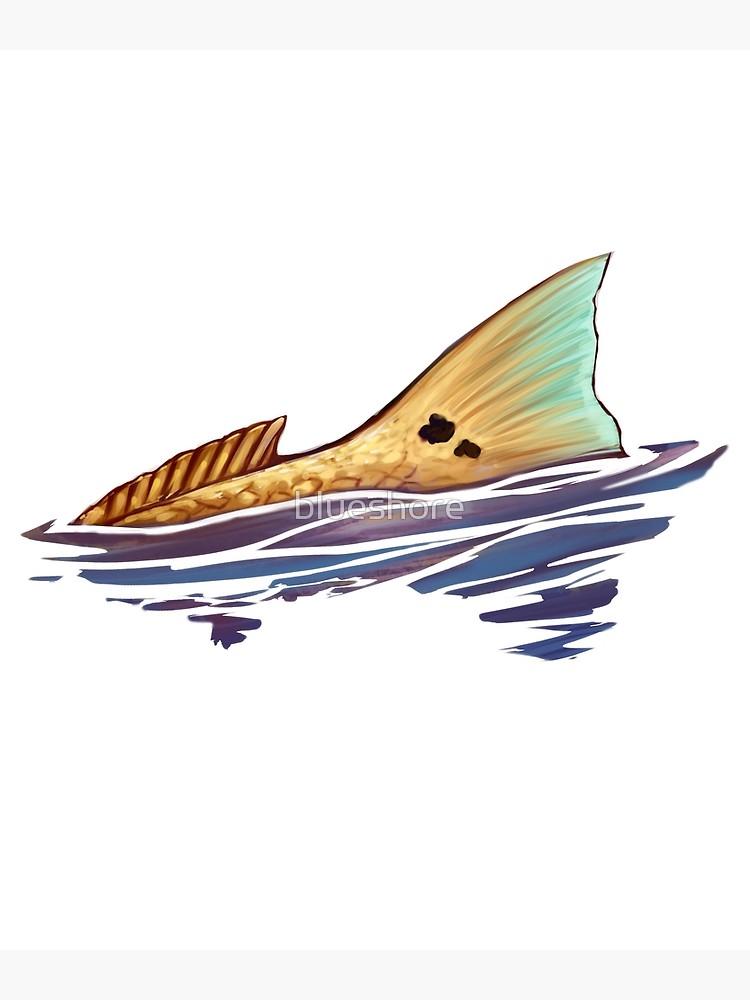 750x1000 tailing redfish redfish tail photographic print