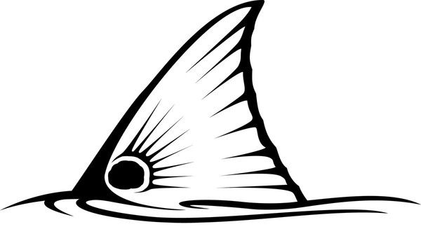 600x327 Tailing Redfish Car Decal Made In The U S A This Hand Crafted