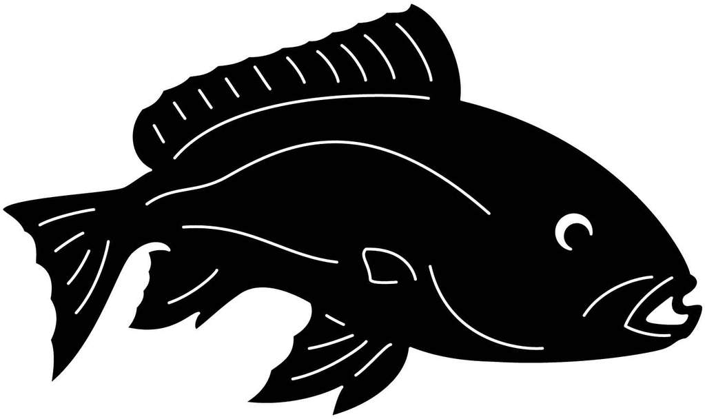 1023x608 Redfish Drawing Freshwater For Free Download