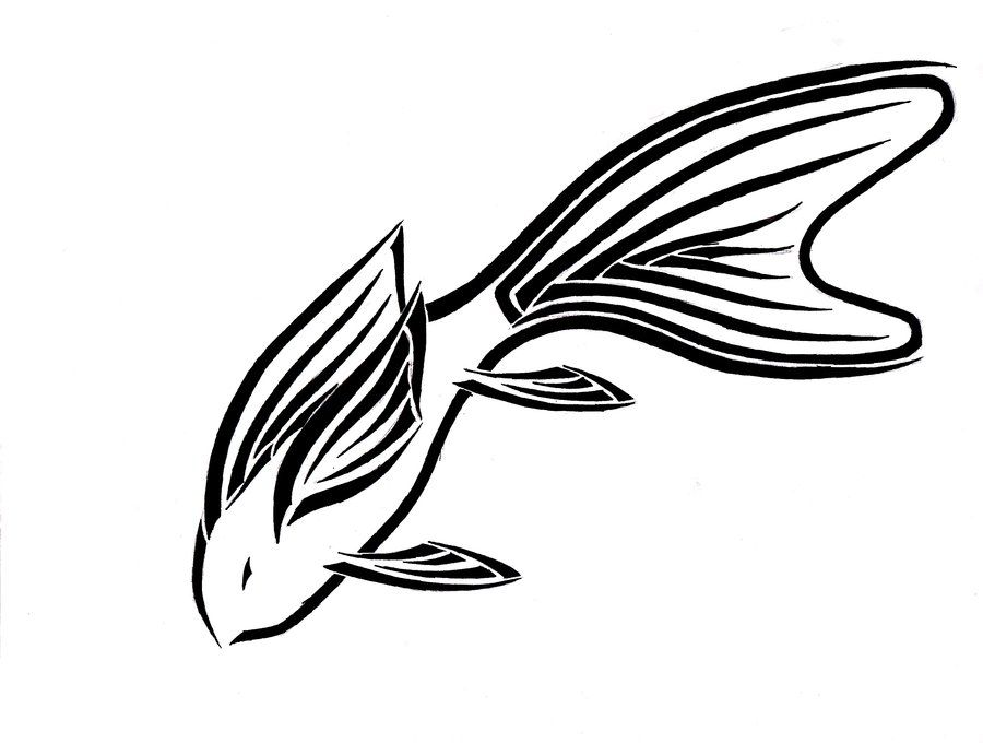 900x680 Redfish Drawing Tattoo For Free Download