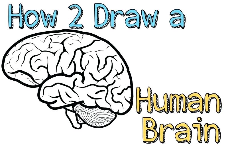 800x523 Drawing People Kids