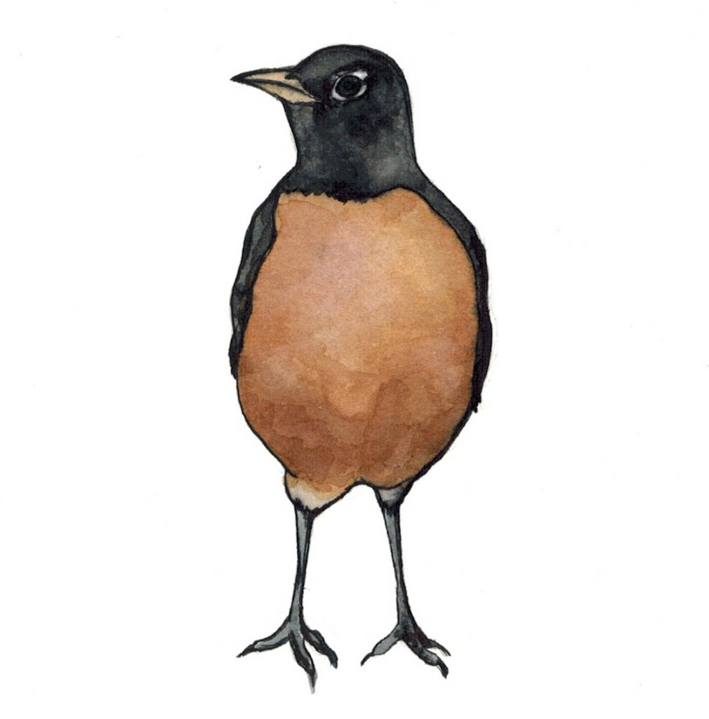 1010x1024 Excerpts From Small Pieces