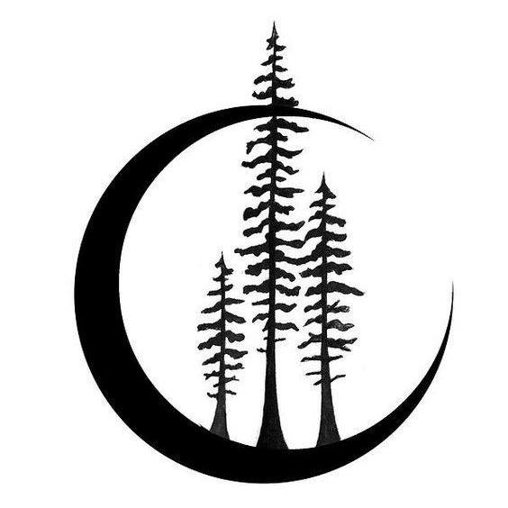 564x564 folsom edh, ca hulafrog redwood cove creations