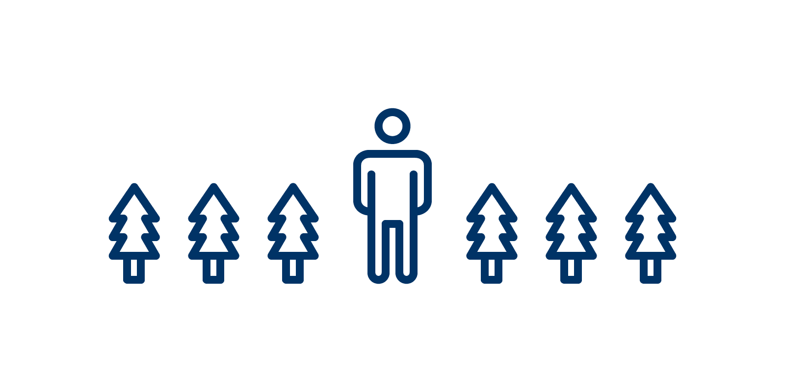 1600x800 In The Giant Redwood Forests Of Iceland