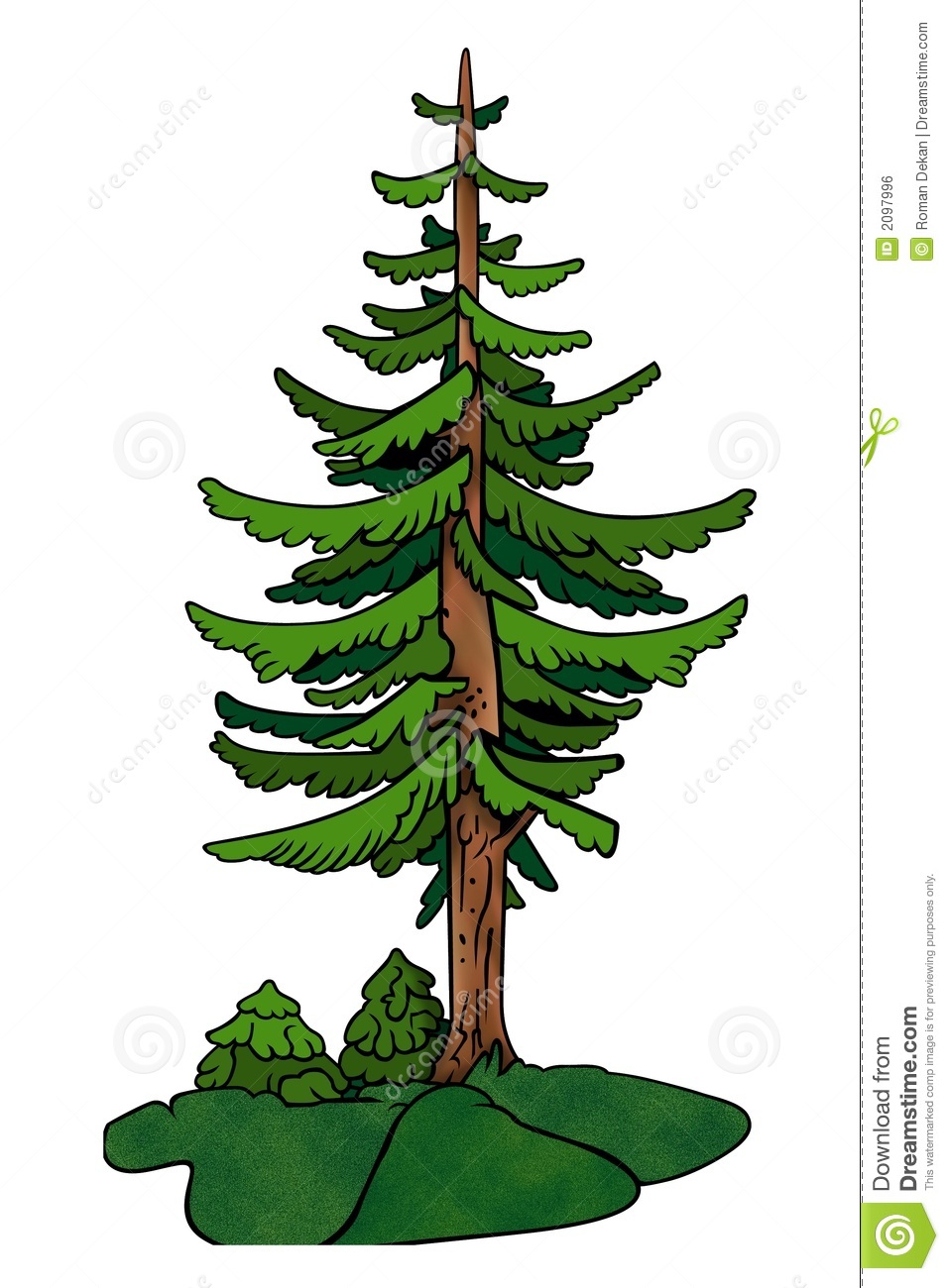 957x1300 Redwood Clipart