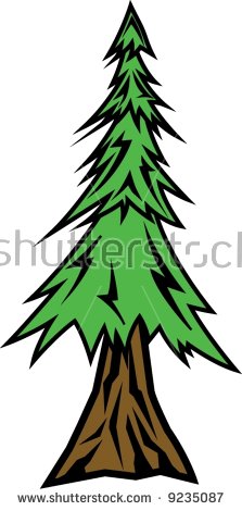 223x470 Redwood Tree Clipart Clip Art Images
