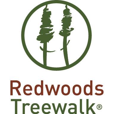 384x383 Redwoods Treewalk Rotorua
