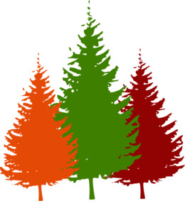 260x300 Tree, Pine, Drawing, Transparent Png Image Clipart Free Download