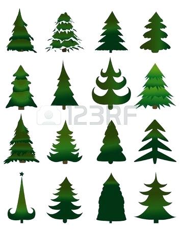 357x450 Pine Tree Drawing